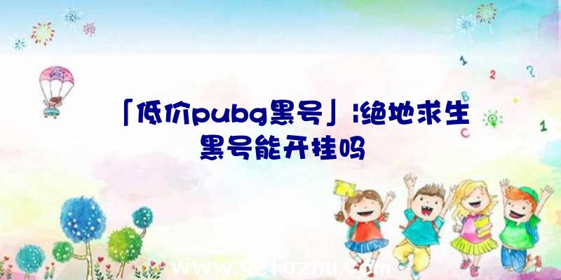 「低价pubg黑号」|绝地求生黑号能开挂吗